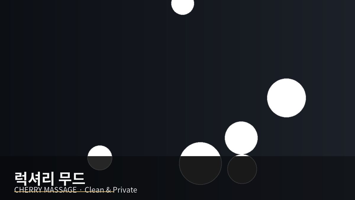 송파구 출장마사지 이미지 65